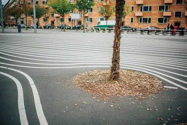 Drawing the Line: Unconventional Ways the Healthy Boundaries eBook Can Change Your Life and Your Bottom Line Cover